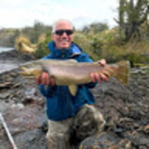 Meet your Posher, William